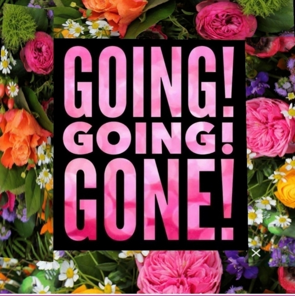 THE BARNDOOR CHIC HOT SPOT - Picture 3 of 6